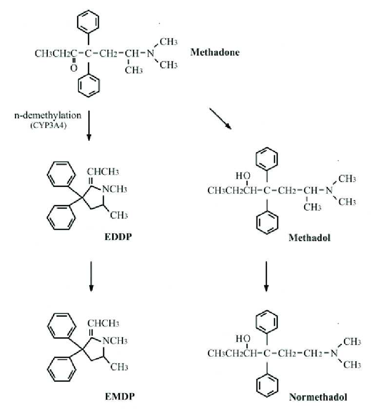 Metbl2