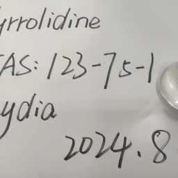 Pyrrolidine CAS 123-75-1