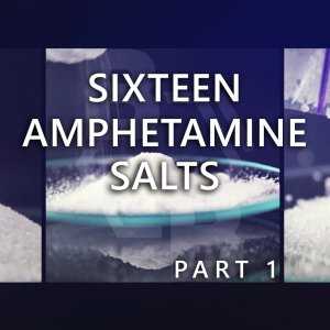 Six***** Amphetamine Salts. Part 1